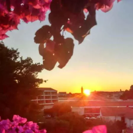 Apartman In Banjol/insel Rab 36260